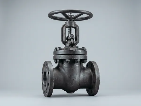 Cast steel gate valve, flanged