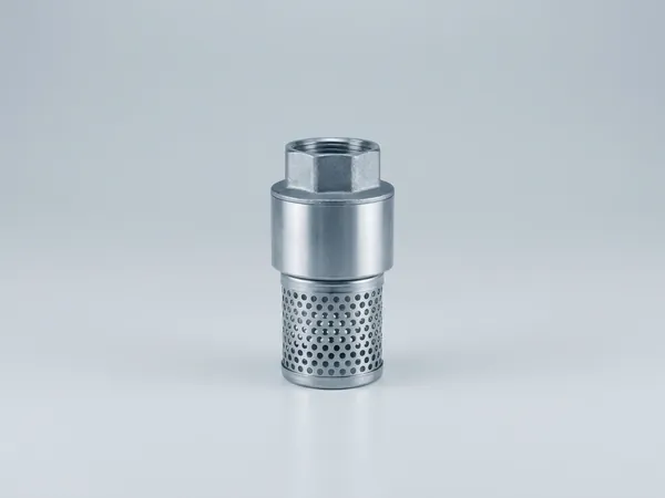 Foot valve with strainer